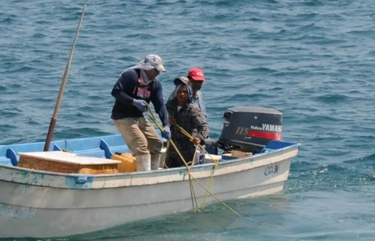Reportan pesca furtiva durante la temporada de veda