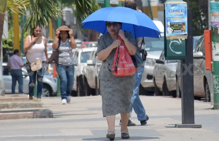 Enero de 2025 fue el más cálido de la historia