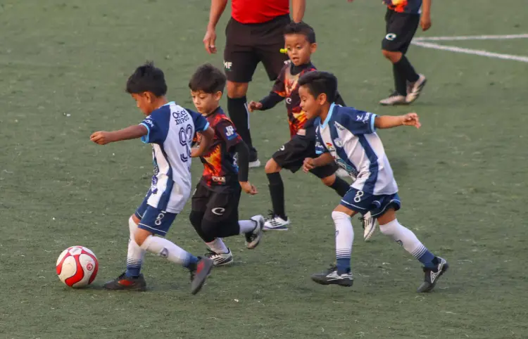 Fénix y Tuzitos protagonizan gran final 