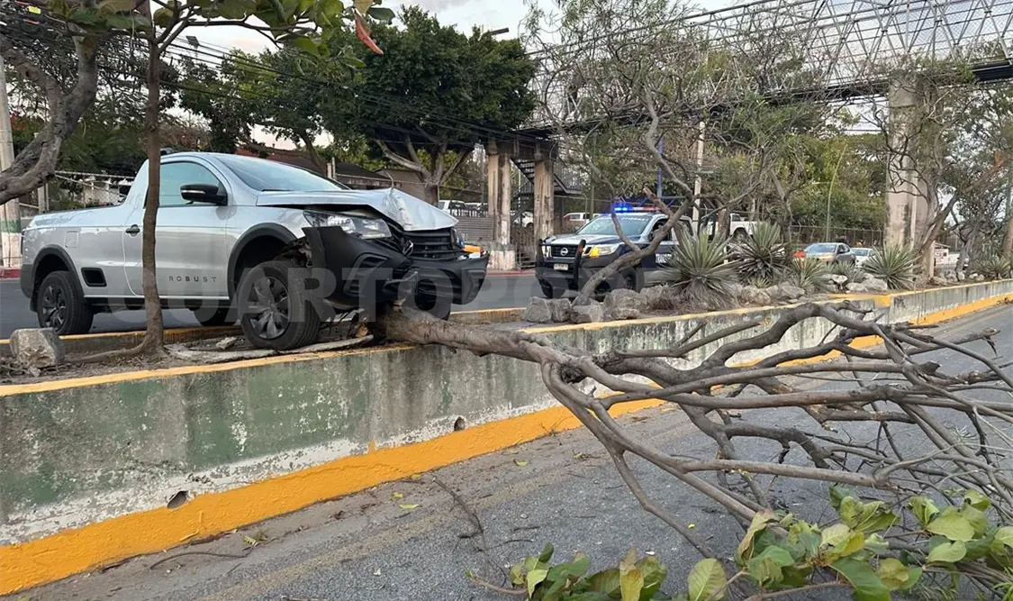 Colisiona contra un árbol y conductor se fuga