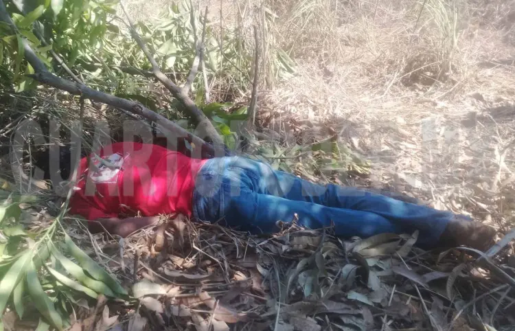 Pierde la vida al caer de un árbol de mango