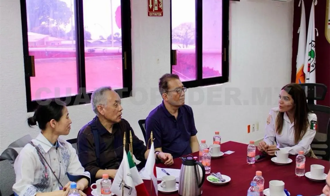 Verifican JICA y Amexcid trato en frontera sur