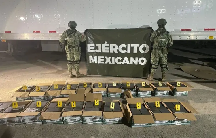 Aseguran 246 armas de fuego