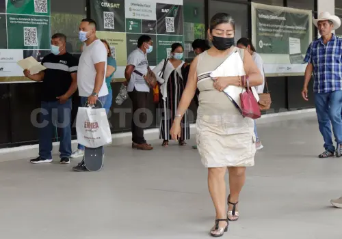 Si eres persona física, prepara tu declaración