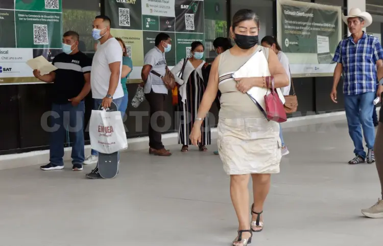 Si eres persona física, prepara tu declaración