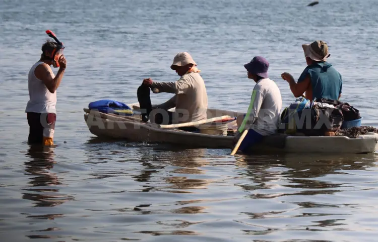 Inicia la dispersión de apoyos a pescadores