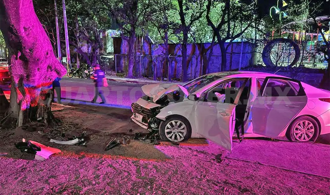 Al parecer ebrio, se estampa contra un árbol