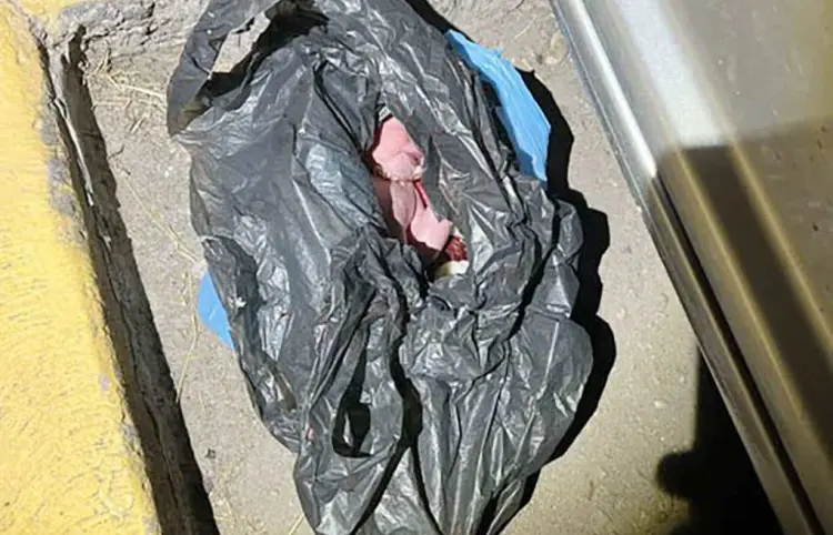 Buscará abuela custodia del bebé abandonado