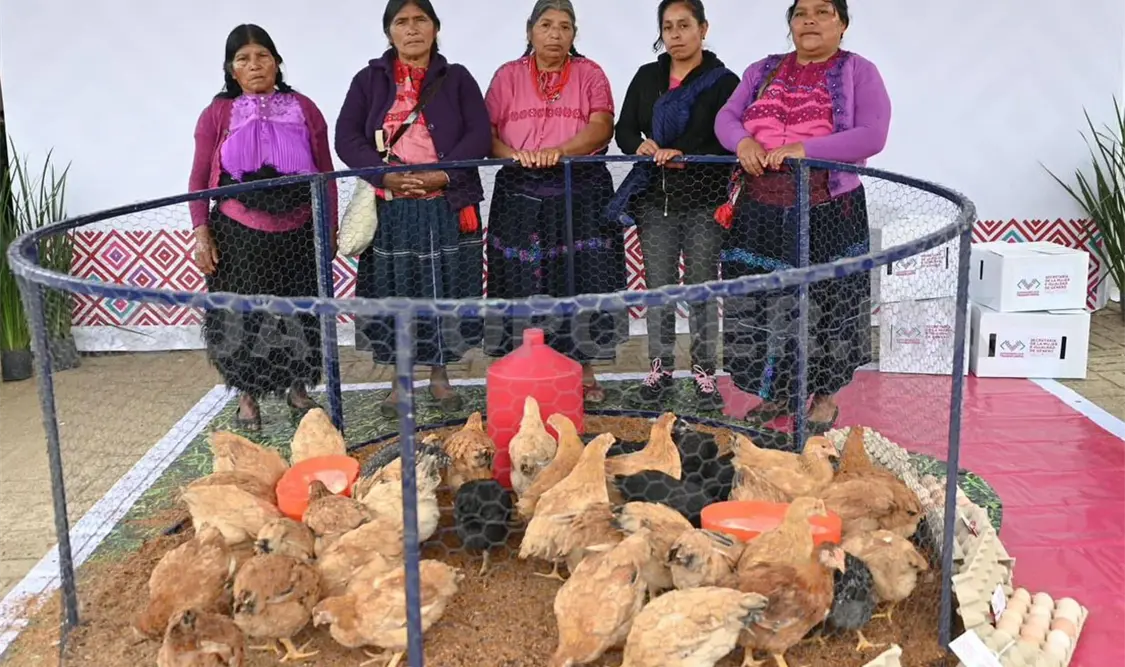 Secretaría del Humanismo busca combatir la pobreza