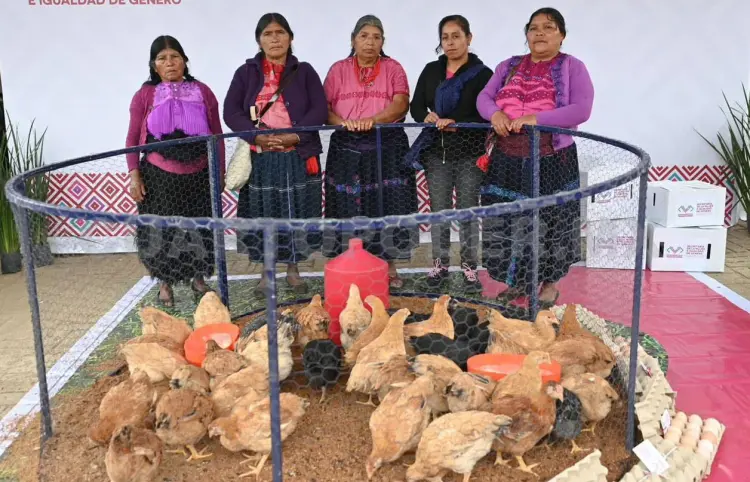 Secretaría del Humanismo busca combatir la pobreza