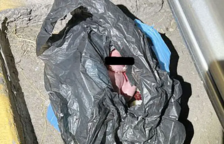 Buscará abuela custodia del bebé abandonado