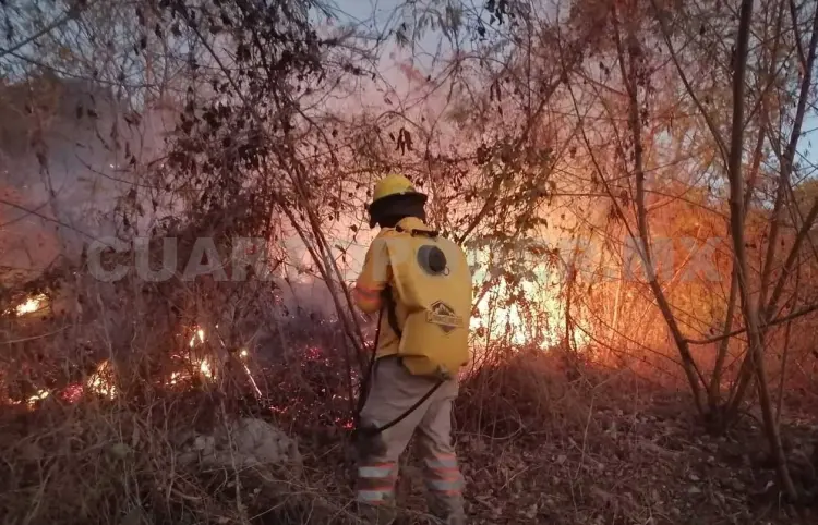 Protección Civil exhorta a evitar quemas agrícolas
