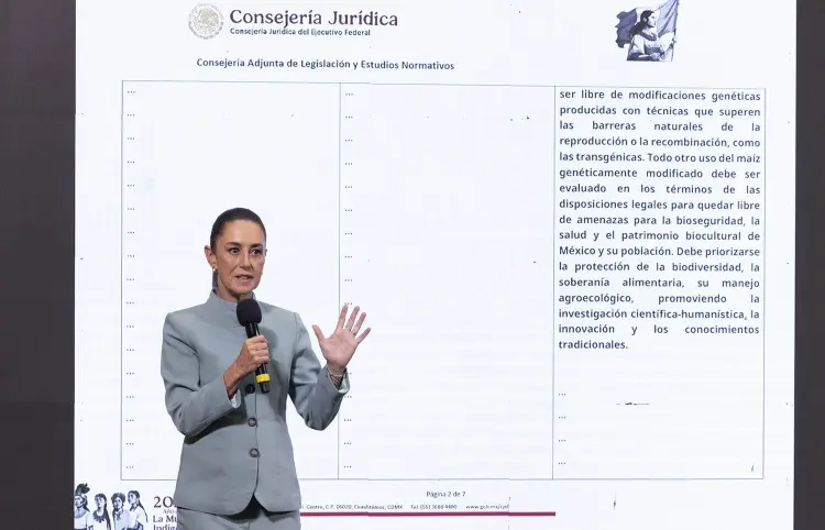 Mexicanos no quieren reelección