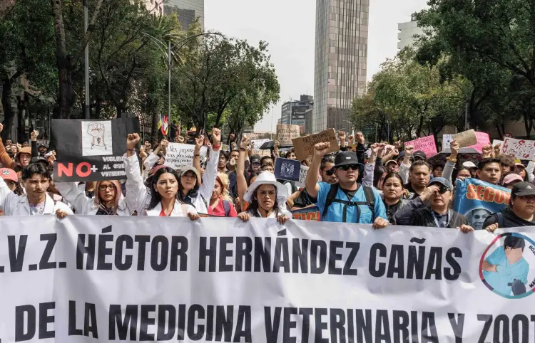 Veterinarios marchan en los estados