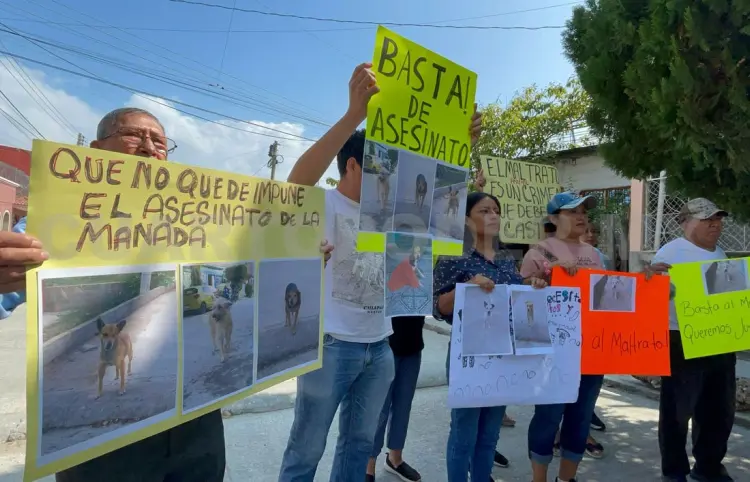 Denuncian matanza de perros en El Roble