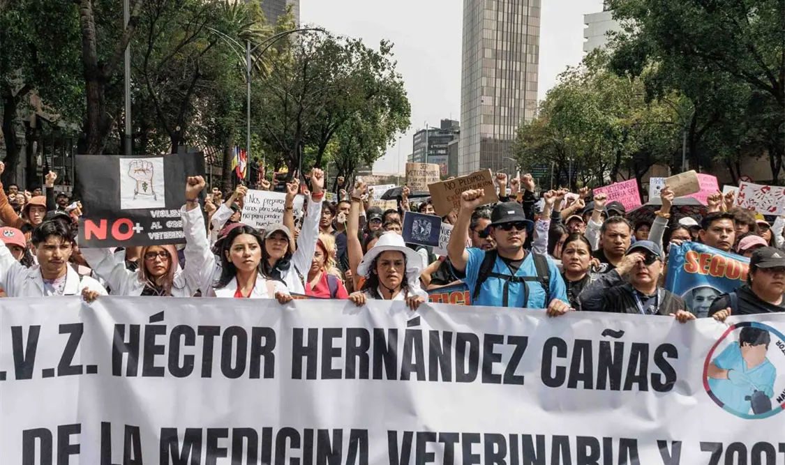 Veterinarios marchan en los estados
