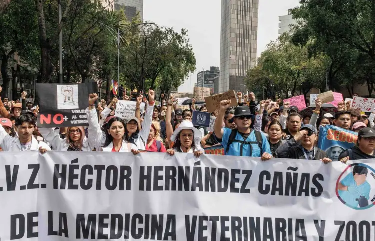 Veterinarios marchan en los estados