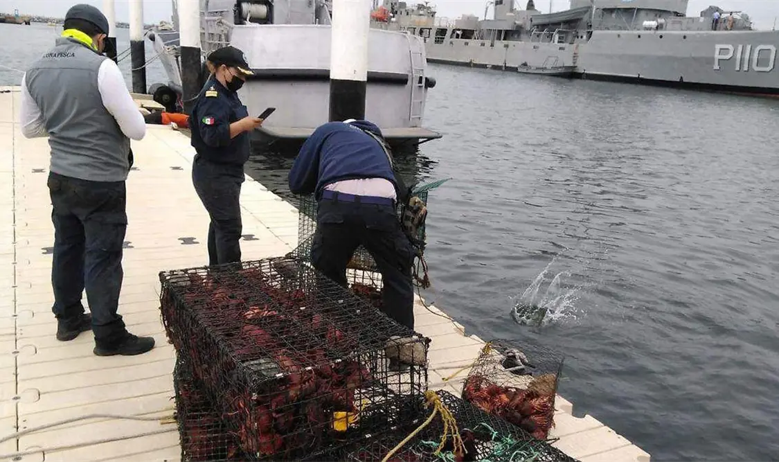 Detienen más de 86 tons de producto pesquero ilegal