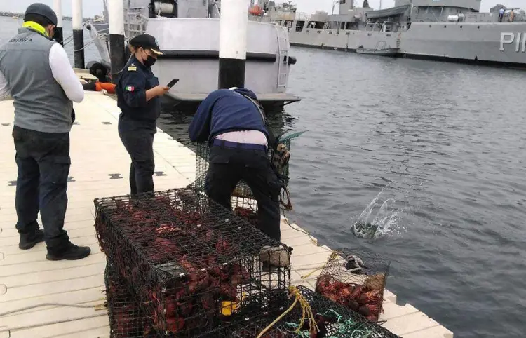 Detienen más de 86 tons de producto pesquero ilegal