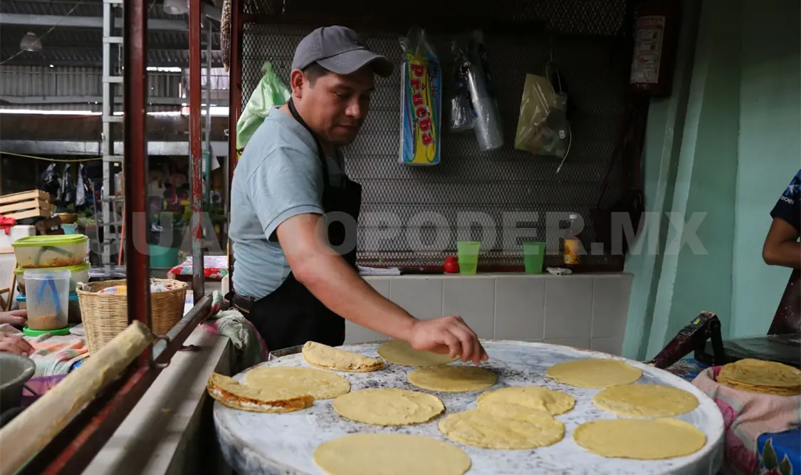 ¡No pueden hacernos comer tortillas transgénicas!