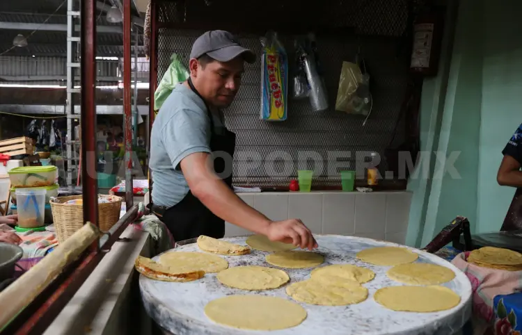 ¡No pueden hacernos comer tortillas transgénicas!