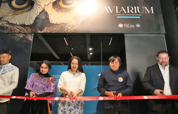 Inauguran muestra "Aviarium" en Toluca