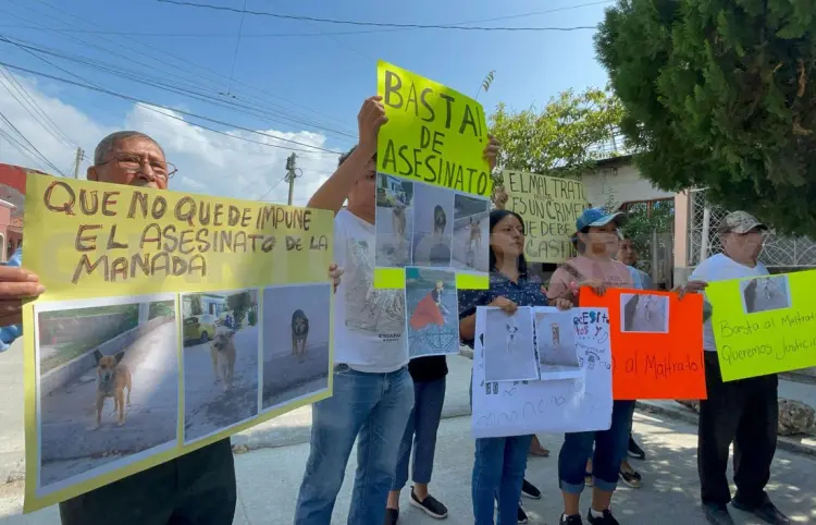 Piden penas severas a quienes lastimen animales
