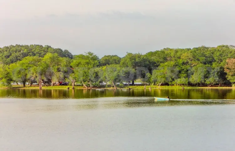 Estudian cambios al ecosistema en Laguna Grande