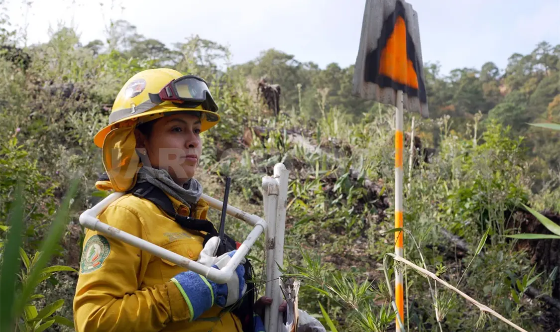Ciencia y comunidad se unen para prevenir incendios