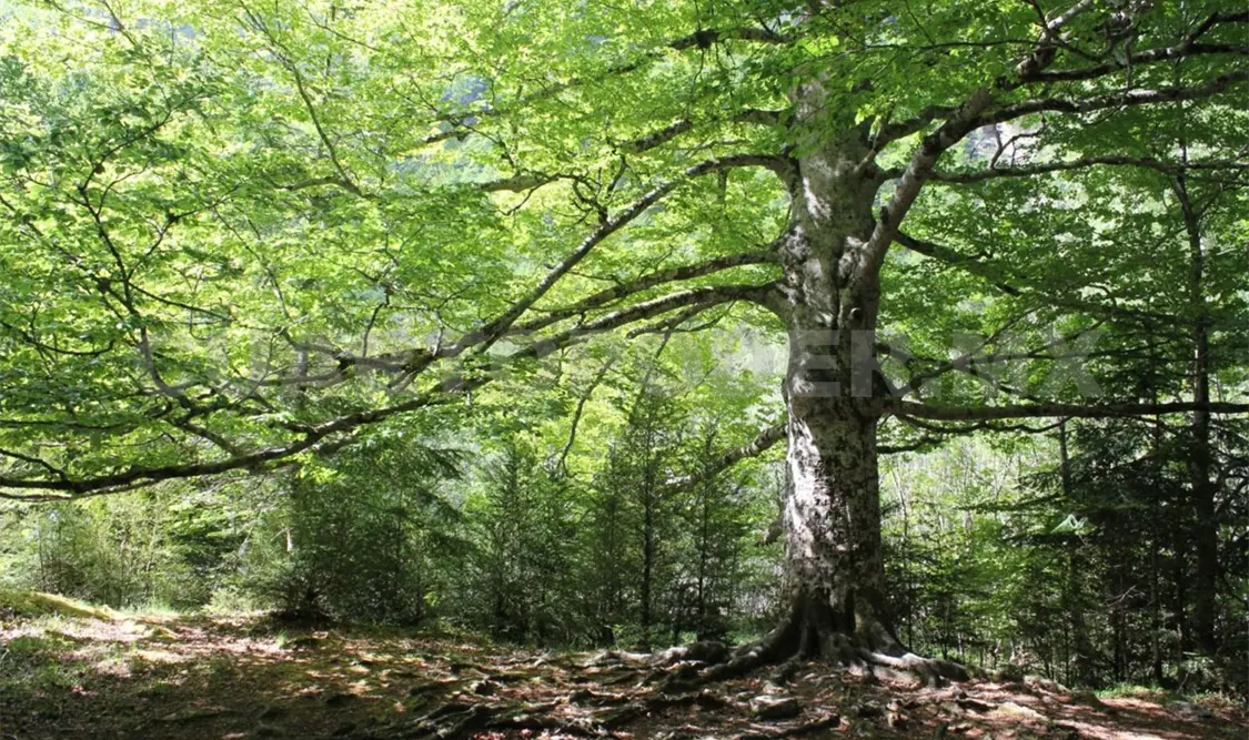 Necesario tener recursos para atender contingencias