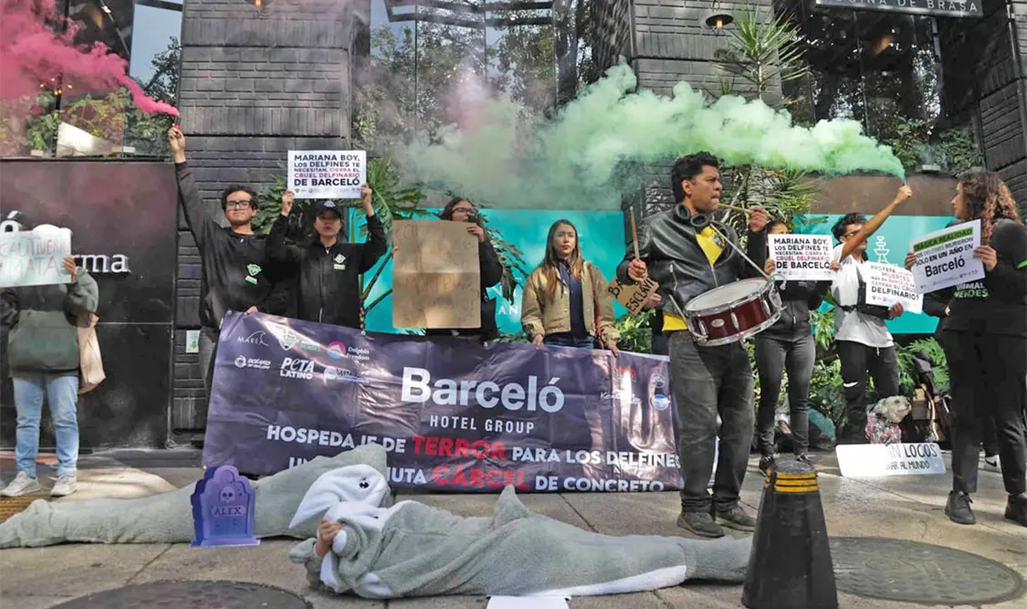 Ambientalistas exigen el cierre definitivo del delfinario de la sede Riviera Maya. El Universal
