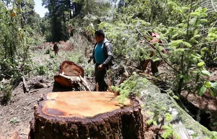 Denuncian crisis ambiental y fiscal