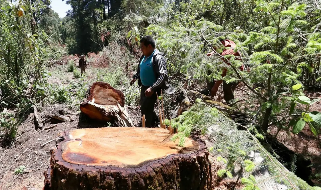 Denuncian crisis ambiental y fiscal