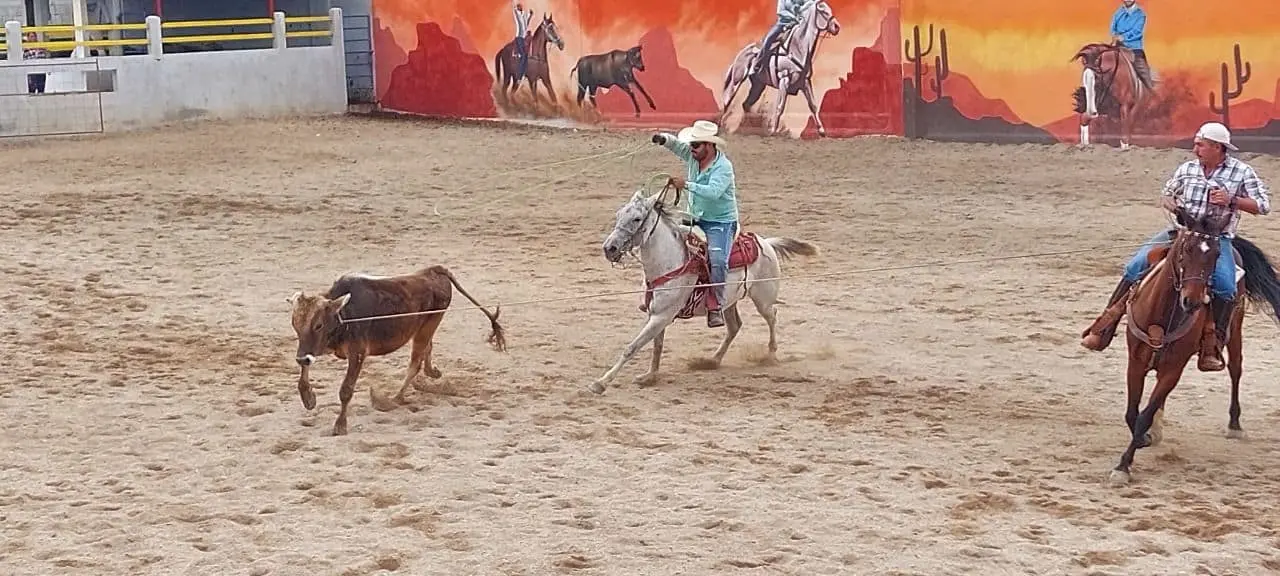 La emoción del Team Roping se vivió en la segunda fase del Circuito Poblazón 2025, con competidores de distintas edades demostrando su destreza en la arena. Cortesía
