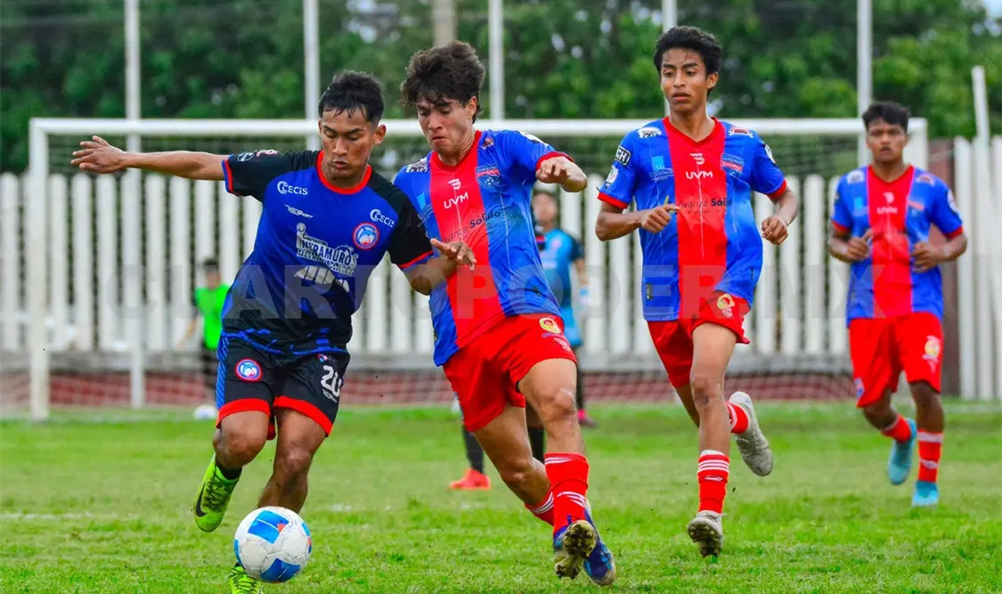 Delfines frena los ímpetus de Chifut