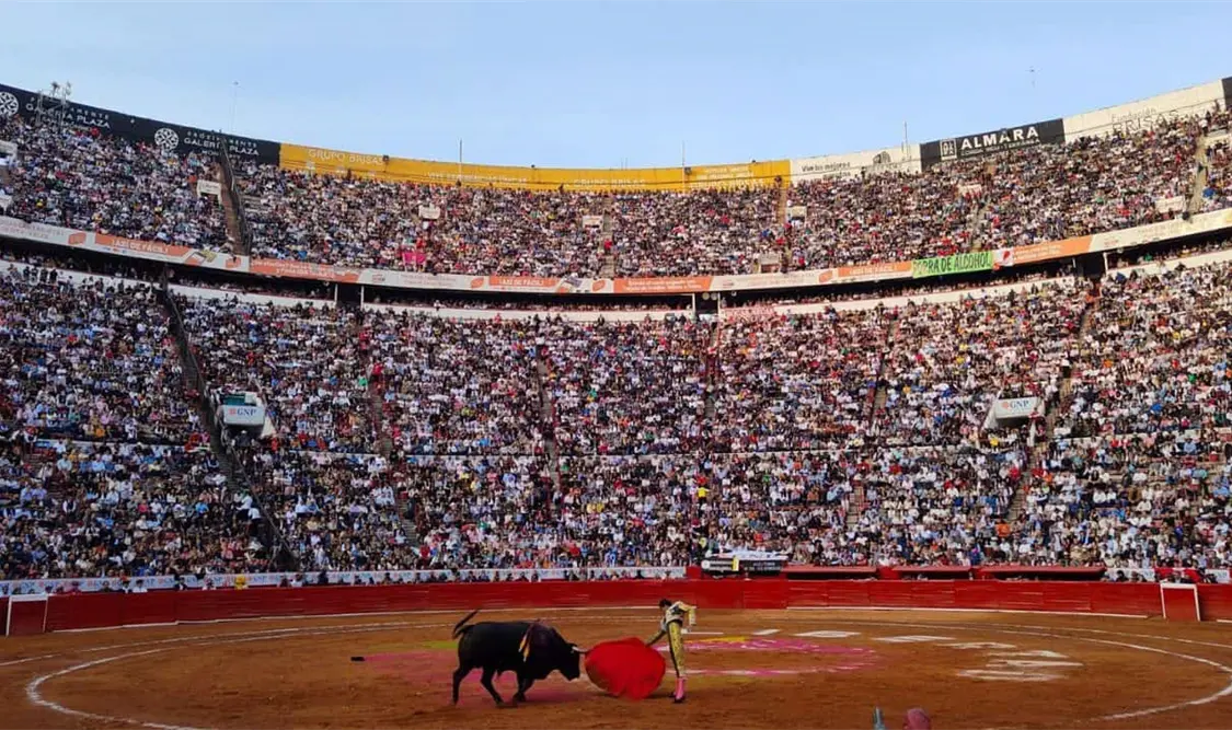 Y que en caso de que autoricen corridas de toros, no podrán contener actividades o instrumentos que impliquen maltrato animal. Cortesía