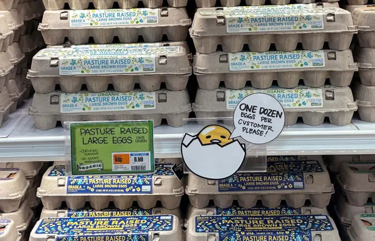 Precio del huevo podría aumentar 41 %