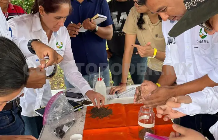 Se especializan en restauración de los suelos