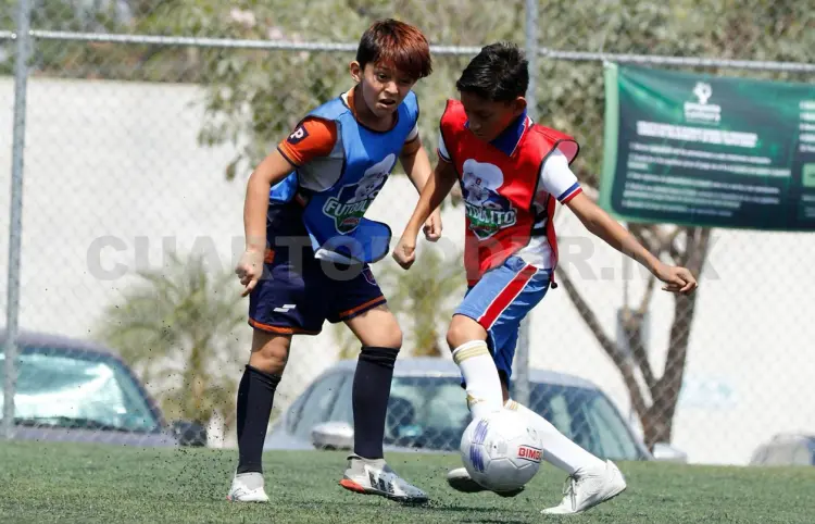 El torneo ya tiene fecha de arranque