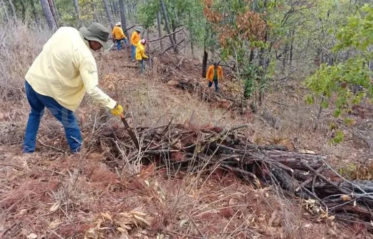 Refuerzan protección de ANP ante incendios