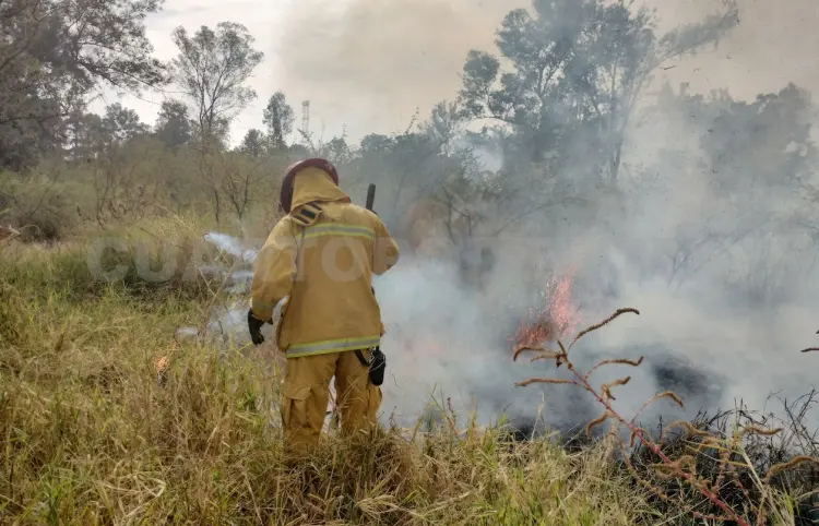 Casi 500 hectáreas afectadas por incendios