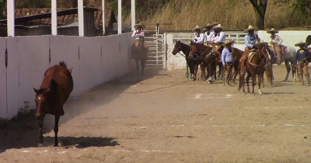 Fraylescana R5 se corona en Villa Corzo