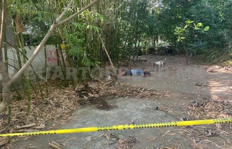 A balazos asesinan a una mujer en un callejón de Tapachula