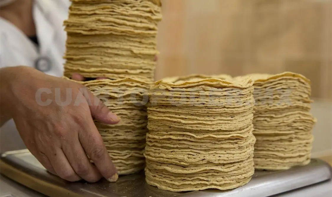 Resisten tortillerías subir precio a este alimento