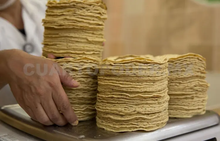 Resisten tortillerías subir precio a este alimento