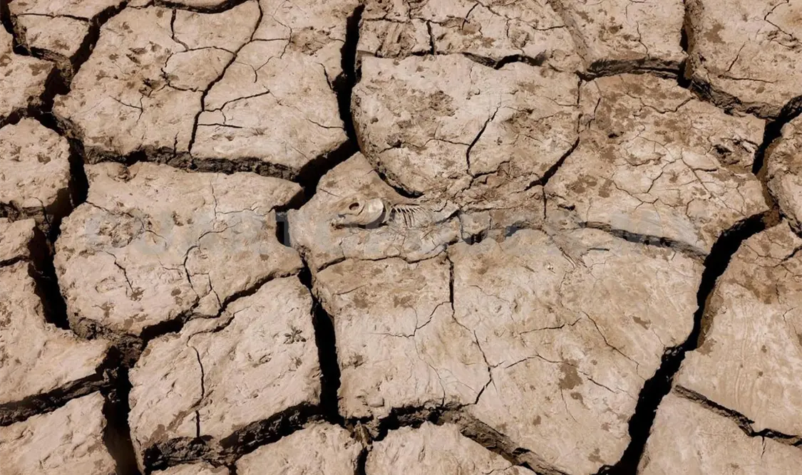 Municipios no presentan sequía