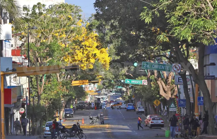 Unas 25 especies están en floración