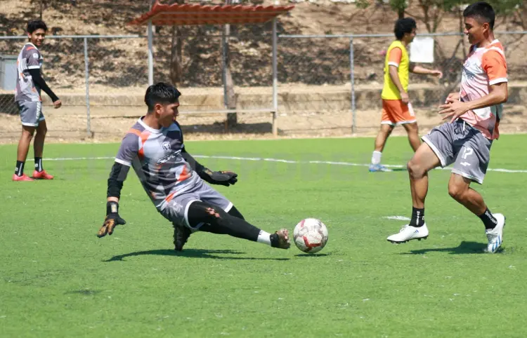 Lechuzas se prepara para recibir a Delfines