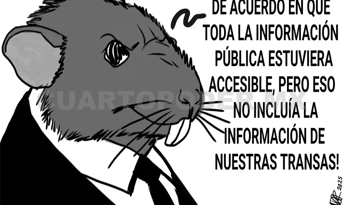 Las auditorías: áreas de oportunidad
