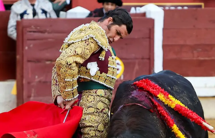 Invalidan recurso contra corridas de toros en CDMX